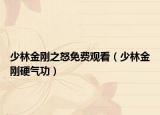 少林金剛之怒免費觀看（少林金剛硬氣功）