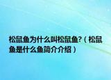 松鼠魚為什么叫松鼠魚?（松鼠魚是什么魚簡介介紹）