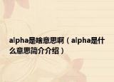alpha是啥意思?。╝lpha是什么意思簡介介紹）