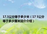 17.5公分等于多少米（17 5公分等于多少厘米簡介介紹）