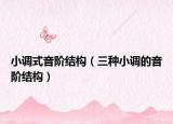 小調(diào)式音階結(jié)構(gòu)（三種小調(diào)的音階結(jié)構(gòu)）