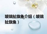 玻璃扯旗魚介紹（玻璃扯旗魚）