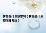 夢男是什么意思?。▔裟惺鞘裁垂：喗榻榻B）