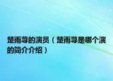 楚雨蕁的演員（楚雨蕁是哪個演的簡介介紹）