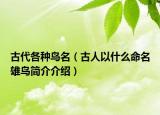 古代各種鳥名（古人以什么命名雄鳥簡介介紹）