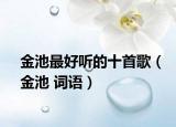 金池最好聽的十首歌（金池 詞語）