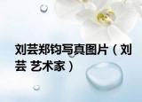 劉蕓鄭鈞寫真圖片（劉蕓 藝術(shù)家）