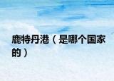 鹿特丹港（是哪個(gè)國(guó)家的）