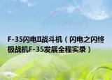 F-35閃電II戰(zhàn)斗機（閃電之閃終極戰(zhàn)機F-35發(fā)展全程實錄）