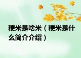 粳米是啥米（粳米是什么簡(jiǎn)介介紹）