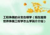 工程侏儒的分支在哪學(xué)（現(xiàn)在魔獸世界侏儒工程學(xué)怎么學(xué)簡(jiǎn)介介紹）