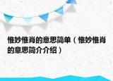 惟妙惟肖的意思簡單（惟妙惟肖的意思簡介介紹）