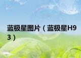 藍極星圖片（藍極星H93）
