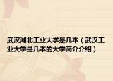 武漢湖北工業(yè)大學(xué)是幾本（武漢工業(yè)大學(xué)是幾本的大學(xué)簡(jiǎn)介介紹）