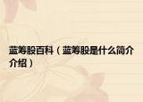 藍籌股百科（藍籌股是什么簡介介紹）