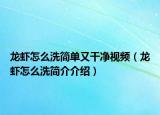 龍蝦怎么洗簡單又干凈視頻（龍蝦怎么洗簡介介紹）