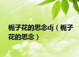 梔子花的思念dj（梔子花的思念）