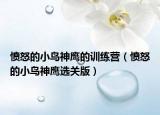 憤怒的小鳥神鷹的訓(xùn)練營（憤怒的小鳥神鷹選關(guān)版）