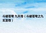 斗破蒼穹 九天尊（斗破蒼穹之九玄至尊）