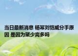 當(dāng)日最新消息 楊冪劉愷威分手原因 是因為聚少離多嗎