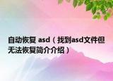 自動恢復 asd（找到asd文件但無法恢復簡介介紹）