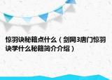 驚羽訣秘籍點什么（劍網(wǎng)3唐門驚羽訣學(xué)什么秘籍簡介介紹）
