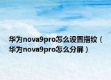 華為nova9pro怎么設(shè)置指紋（華為nova9pro怎么分屏）