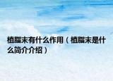 植脂末有什么作用（植脂末是什么簡介介紹）