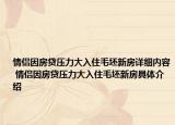 情侶因房貸壓力大入住毛坯新房詳細(xì)內(nèi)容 情侶因房貸壓力大入住毛坯新房具體介紹