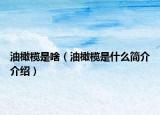 油橄欖是啥（油橄欖是什么簡介介紹）