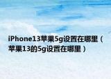 iPhone13蘋果5g設(shè)置在哪里（蘋果13的5g設(shè)置在哪里）