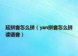 延拼音怎么拼（yan拼音怎么拼讀語音）