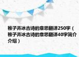 稚子弄冰古詩的意思翻譯250字（稚子弄冰古詩的意思翻譯40字簡(jiǎn)介介紹）