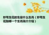 妙筆生花的生是什么生肖（妙筆生花指哪一個生肖簡介介紹）