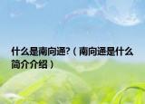 什么是南向通?（南向通是什么簡介介紹）