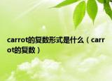 carrot的復(fù)數(shù)形式是什么（carrot的復(fù)數(shù)）