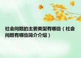 社會問題的主要類型有哪些（社會問題有哪些簡介介紹）