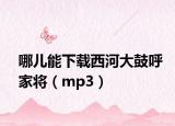 哪兒能下載西河大鼓呼家將（mp3）
