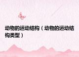 動(dòng)物的運(yùn)動(dòng)結(jié)構(gòu)（動(dòng)物的運(yùn)動(dòng)結(jié)構(gòu)類型）