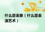 什么是表象（什么是表演藝術(shù)）