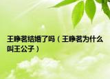 王睜茗結(jié)婚了嗎（王睜茗為什么叫王公子）