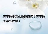 天干地支怎么快速記憶（天干地支怎么計(jì)算）