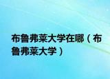 布魯弗萊大學在哪（布魯弗萊大學）