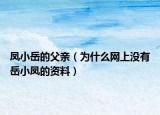 鳳小岳的父親（為什么網(wǎng)上沒有岳小鳳的資料）