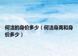 何潔的身價(jià)多少（何潔身高和身價(jià)多少）