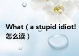 What（a stupid idiot!怎么讀）