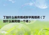 丁加什么偏旁組成新字再組詞（丁加什么偏旁組一個詞）