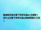 陶淵明采菊東籬下悠然見(jiàn)南山 在哪里（采什么東籬下悠然見(jiàn)南山陶淵明簡(jiǎn)介介紹）