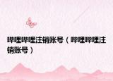 嗶哩嗶哩注銷賬號（嗶哩嗶哩注銷賬號）