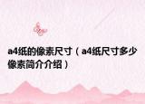 a4紙的像素尺寸（a4紙尺寸多少像素簡介介紹）